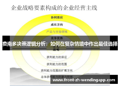 费南多决策逻辑分析:如何在复杂情境中作出最佳选择 费南多决策逻辑分析:如何在复杂情境中作出最佳选择