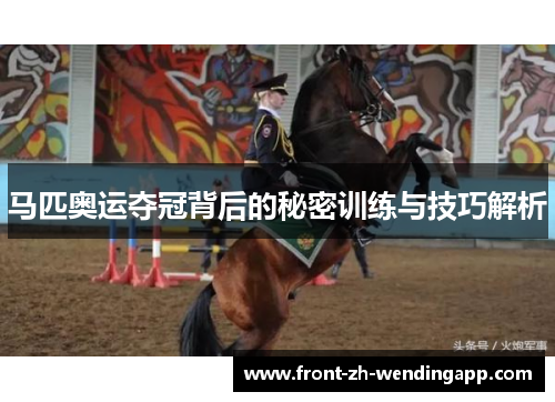 马匹奥运夺冠背后的秘密训练与技巧解析