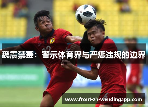 魏震禁赛：警示体育界与严惩违规的边界